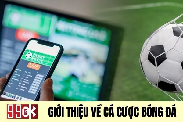 Giới thiệu về cá cược bóng đá